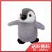 �C�����悿�悿���邫�̂����؂񂿂�� ��������