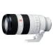 SONY �\�j�[ ���������Y E�}�E���g�p�����Y FE 70-200mm F2.8 GM OSS II SEL70200GM2�y���b�s���O�Ή��z R-LOGI