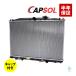 CAPSOL �X�e�b�v���S�� RG1 ���W�G�[�^�[ ���W�G�^�[ �L���b�v�t AT�ԗp 19010-RTA-901 18���܂ő����o��