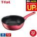 �e�B�t�@�[�� t-fal IH���[�W���E�A�����~�e�b�h �}���`�p�� 22cm IH�E�K�X�ΑΉ� G26275 �������� �v���[���g