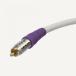 ۡॷ Blue Jeans Cable LC-1 Double-Shielded Low Capacitance Subwoofer Cable, 35 foot, White