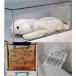 ĻѤ Chilly Polar bear Authenticated - Rare Mint, no ear tag - Ty Beanie Baby