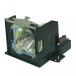 ץ Lutema POA-LMP98-L02 Sanyo POA-LMP98 610-325-2957 Replacement DLPLCD Cinema Projector Lamp, Premium