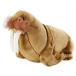 ĻѤ National Geographic Stuffed Animals Hand Puppet (1 Piece), Baby, Polar 3