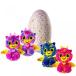 ŻҤ Hatchimals Surprise ? Giraven ? Hatching Egg with Surprise Twin Interactive Hatchimal Creatures by Spin Master