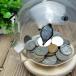 ŻҤ Glass creative children piggy bank adult piggy bank animal piggy bank birthday gift -G