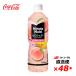 �y2�P�[�X48�{�z�~�j�b�c���C�h �[���V���K�[ �s�[�`�����l�[�h 600mlPET