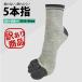  перевод есть товар foot одежда -.. нет! 5 пальцев носки 23.5-24cm женский носки часть . функциональность .. нет . пальцев движение носки . пот скорость . ограниченное количество 