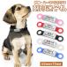  identification tag dog cat identification tag pet ID tag dog cat name inserting free silicon rubber attaching stainless steel necklace Harness tag prevention name inserting name & telephone number stamp 