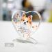  pet memorial tablet KP-D1 stock limit crystal glass photograph color birthstone Buddhist altar fittings 49 day thought . Heart lovely dog cat ... for pets memorial goods 