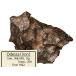 otesa meteorite specimen (. iron ) Odessa