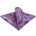 SHLAX&amp;WING мужской pocket square лиловый peiz Lee узор шелк 