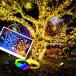 �y2�F�ؑփ^�C�v�z�\�[���[ LED�C���~�l�[�V���� �N���X�}�X 500�� 30m �h�� �E�I�[���z���C�g�E�J���t�� �����A���� TYPEC�[�d�� 11