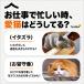 �L �{�[�� 2�Z�b�g ���� �������� �˂�����炵 USB �[�d�t�� ����� 360�x360�x��]���[�����O �{�[�� �X�g���X���� �[�d�� ��l�V��  �^���s�� LED���C�g �֘A�摜3