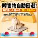 �L �{�[�� 2�Z�b�g ���� �������� �˂�����炵 USB �[�d�t�� ����� 360�x360�x��]���[�����O �{�[�� �X�g���X���� �[�d�� ��l�V��  �^���s�� LED���C�g �֘A�摜5