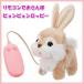  Point 10 times limited time iwaya remote control .. san .pyompi.nropi- rabbit. electric animal move soft toy 