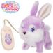 �C���� �����R���ł������ �L�����f�B�[���b�s�[ �O���[�v �E�T�M�̓d������ �����ʂ������