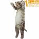 ��������Zoo �ɂ�� �T�o�g�� �L�̂ʂ������