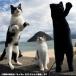 ��������Zoo �ɂ�� �T�o�g�� �L�̂ʂ������ �֘A�摜3