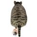 �ӂƂ�����Zoo �ɂ�� �T�o�g�� �L�̂ʂ������ �ۂ��L �f�u�L �֘A�摜3