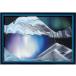 �y�������b�s���O�T�[�r�X�L��z �T���h�s�N�`���[ �I�[���� 22�~33cm KB collection �I�[�X�g���A��