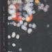 Dreaming | [.que] (CD)