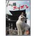 . . кошка Nippon Nagasaki * хвост дорога из .no остров * Hakodate до (DVD) [ бесплатная доставка ]