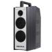 WA-372BI UNI PEX Uni peks[300MHz] беспроводной усилитель ( большой ba City )(SD/USB/Bluetooth* аудио интерфейс есть ) [ WA372BI ]