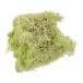 PATIKIL 3.5 унция поддельный Moss сохранение осуществлен северный олень Moss человеческий труд Moss li талон центральная стойка -s украшение свет желтый зеленый 