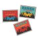  наан gaNANGA 30TH ANNIVERSARY STICKER SQUARE N00030 стикер 