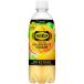  Will gold son язык солнечный g зеркальный ru Squash PET ( 490ml×24 шт. входит )/ Will gold son