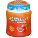  licca rutentob Lad orange жевательная резинка бутылка ( 130g )/ licca rutento(Recaldent)