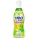 karupis.... дыня ( 470ml )/karupis