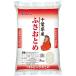�ߘa7�N�Y ��t���Y �ӂ����Ƃ� ( 5kg )/ �p�[�����C�X ( �� )