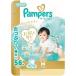�p���p�[�X ���ւ̂����΂� �p���c M�͂��͂��T�C�Y 5-10kg ( 56�� )/ �p���p�[�X ���ւ̂����΂�