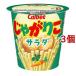 ���Ⴊ�肱 �T���_ ( 57g*3�Z�b�g )/ ���Ⴊ�肱