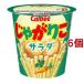 ���Ⴊ�肱 �T���_ ( 57g*6�Z�b�g )/ ���Ⴊ�肱