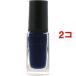 ネイルホリック BL905 ( 5ml*2コセット )/ ネイルホリック