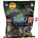  Insect Land насекомое желе Samurai Flat 55 ( 55 штук ×12 комплект )/ Insect Land 