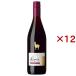 �T���^�E�w���i �A���p�J �V���[ ( 750ml�~12�Z�b�g )/ �A���p�J ( �A�T�q�r�[��/���C��/�A���p�J )