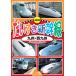 NEW. стул . Shinkansen / Kyushu * запад Kyushu (DVD) KDS-2005 ( keep KEEP)
