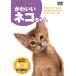  все . стул .! симпатичный кошка Chan (DVD) KID-1302 ( keep KEEP)
