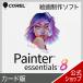 Painter Essentials 8 карта версия 