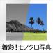  надеты .! монохромный фотография Windows для фотография окраска soft 