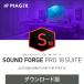 SOUND FORGE Pro 18 Suite Boucher код DL_SNR