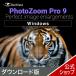 PhotoZoom Pro 9 Win версия DL_SNR фотография расширение soft фотография расширение красивый AI высокое разрешение разрешение вырезки li размер фото 