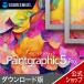 Paintgraphic 5 Pro DL_SNR фотография изображение редактирование обработка soft популярный простой соединение вырезки Pro корректировка 