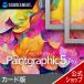 Paintgraphic 5 Pro карта версия 