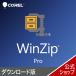 WinZip 30 Pro DL_SNR