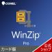 WinZip 30 Pro карта версия 